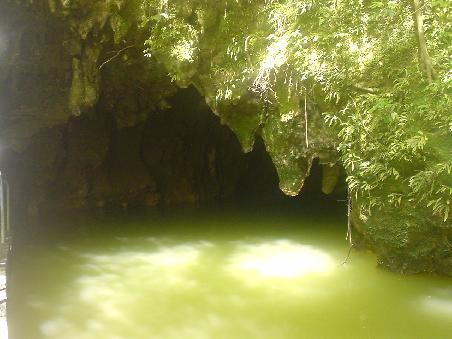 Ausgang der Glowworm Cave - hier finden sich tausend und abertausende Gluehwuermchen, die bei Dunkelheit ein leuchtendes Spektakel erzeugen.
Da sitzt man mit geneigtem Kopf im Boot und denkt, man faehrt unter einem greifbaren Sternenhimmel entlang. Nur dass die Sterne sich quasi verdreifacht haben....
PS: Dieses gluehen erzeugen uebrigens die Larven der Gluehwuermchen, um Nahrung anzuziehen. Dafuer haengen diese bis zu 9 Monaten in dieser Grotte.
Geschluepft leben die GW nur bis zu 3 Tagen. Da die "Erwachsenen" keinen Mund haben werden sie entweder verhungern oder vorher schon von den "Kindern" (den Larven), der eigenen Familie, gefressen.
Grausam, oder?!