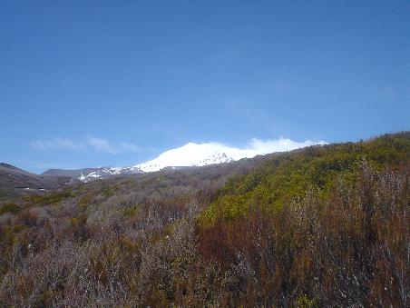 Mt. Ruapehu mit schneeverwehtem Gipfel.
Uns hat's auf der Wanderung uebrigens auch ganz schoen um die Ohren gepfiffen..gegen den Wind ging manchmal nur im Schneckentempo