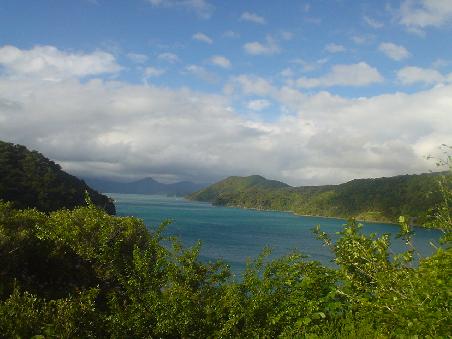 Dabei gings durch die wundervollen Marlborough Sounds.