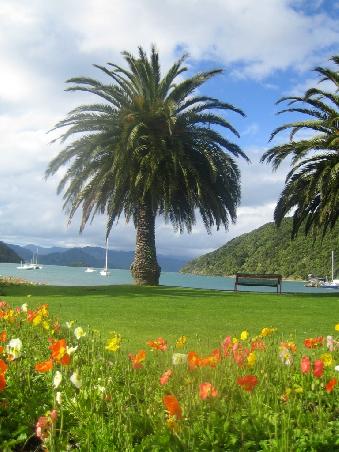 ...und Picton in einem sonnigen Augenblick