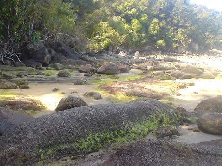 Bereits im Abel Tasman. Eine der ersten Buchten.