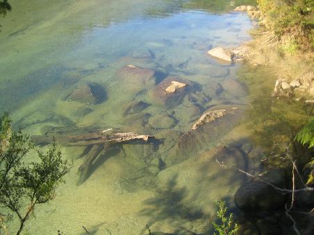 Beim Wandern dann: glasklare Fluesse..