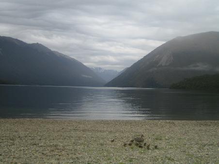 Bereits auf der Weiterfahrt vom Abel Tasman zum Franz Josef Gletscher. Hier haben wir (Nacht)station am Lake Rotoiti eingelegt und wurden am naechsten Morgen leider nicht mit Sonne und erwartetem Ausblick geweckt...