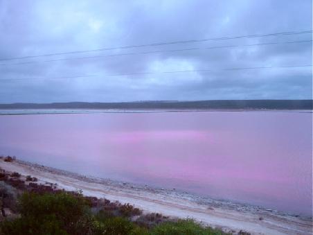Pink Lake bei Port Gregory