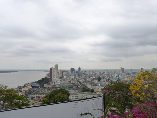 Blick in Richtung Zentrum von Santa Ana