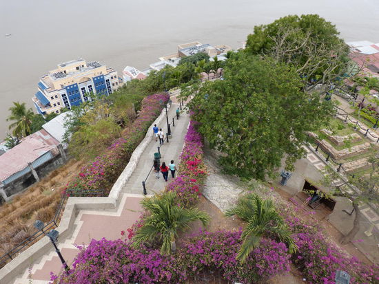 die obersten der 444 Stufen