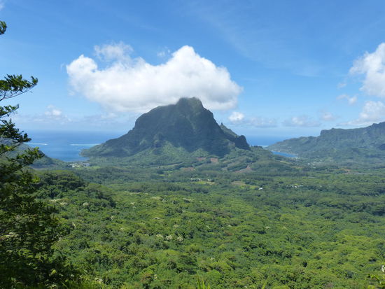 Opunohubay links Cookbay rechts mit Mount Rotui in der Mitte
