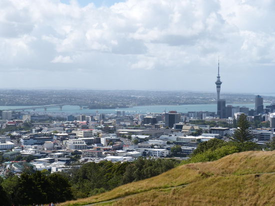 Blick vom Mount Eden Richtung Neustadt