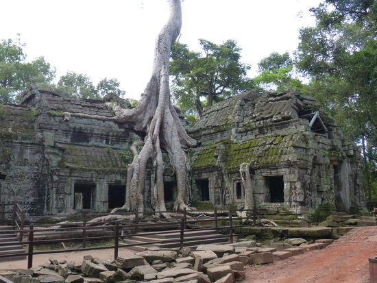 Ta Prohm