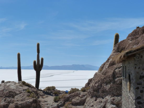 Blick vom freizugänglichen Teil der Kakteeninsel Incahuasi