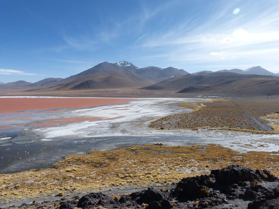 Laguna Colorada in Südbolivien