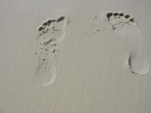Whithaven Beach