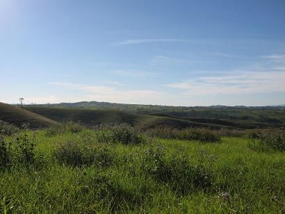 Tableland, ich mag die Landschaft dort!!!