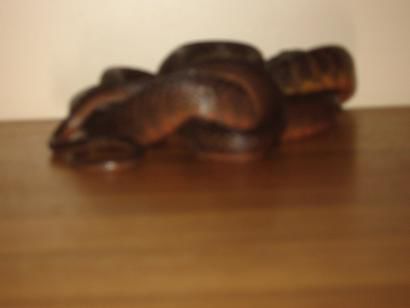 Schlange im Schrank . Iiiihhhhhhh, aber ich habe ein Foto gemacht (ohne zoom)