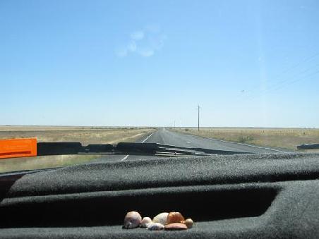 Outback und meine Muschelsummlung