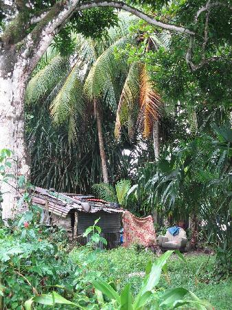 Garten und Wohnzimmer in einem