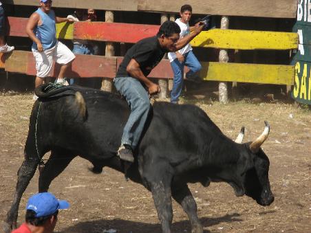 und doch kein Stierkampf... Rodeo. Der erste schaffts bis zum Ende (langweilig)