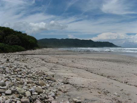 ein nicht ganz treffliches Bild des Strandes in Malpais... eigentlich ist der Wald links VIIIEEEL gruener!