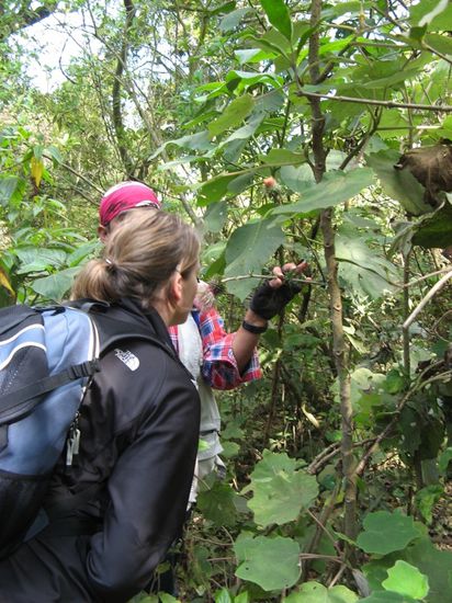 schnupper, schnupper... ooohhhh 