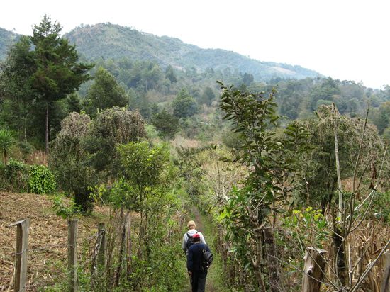 die Felder der armen Bauern