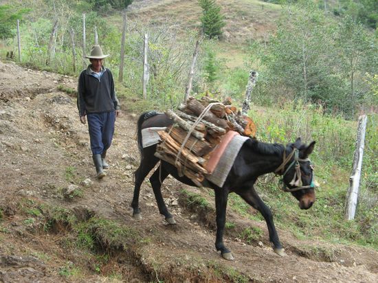 auf dem Weg nach Acul