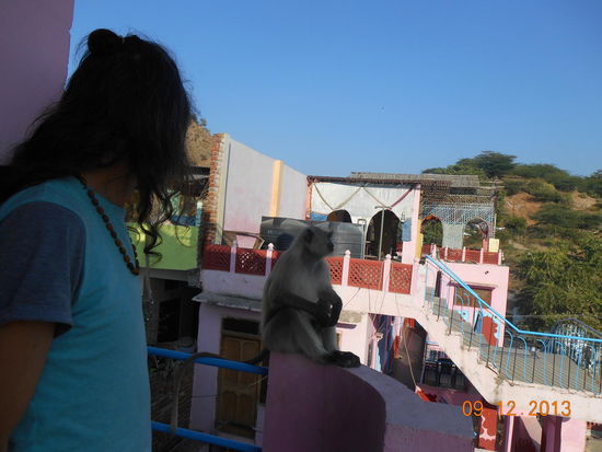 Besuch von einer Affenfamilie auf unserm Balkon - Hakan hat sich mit diesem Männchen ein wenig gekabbelt.