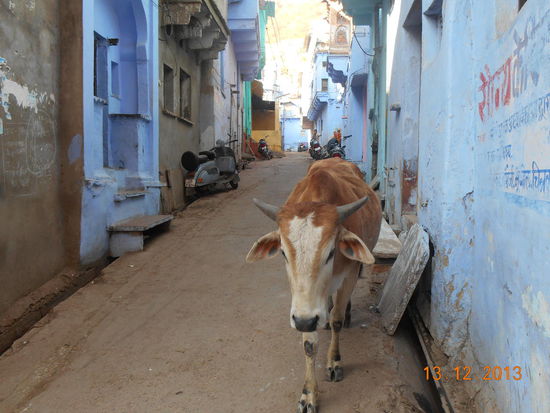 Kleine Gasse mit für Bundi typischen blauen Häusern