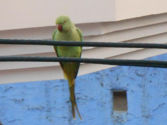 Blick von unseren Balkon