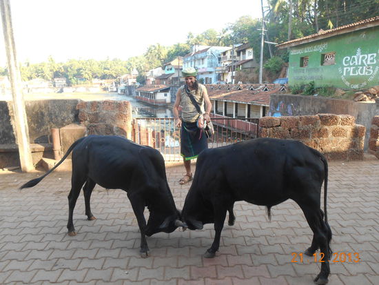Stierkampf mitten im Dorf - Auch hier gibt es einen künstlich angelegten kleinen See mit vielen Seerosen.