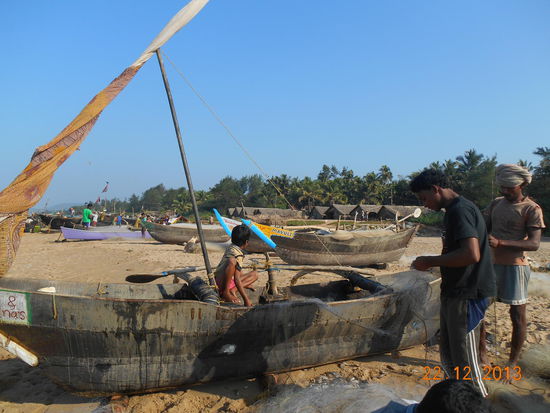 Die Fischer sind gerade vom Fang zurückgekommen.
