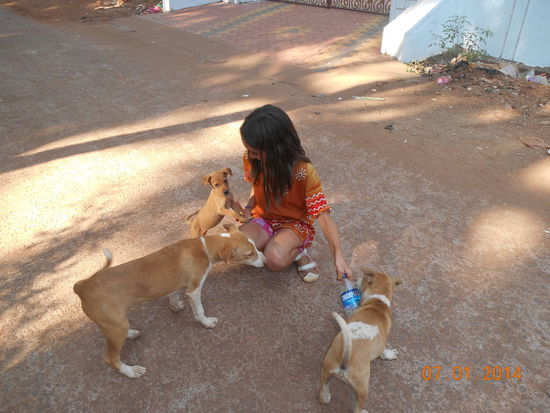 Medea bei ihrer Lieblingsbeschäftigung: Tiere füttern