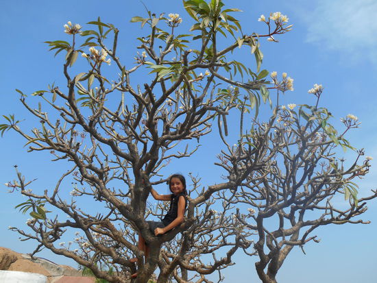 Sie laden auch zum Klettern ein .
