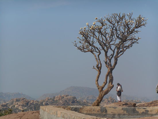 Hakan hat sie weiter oben auf dem Felsen gefunden .