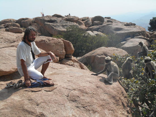 Die Affen sind sehr friedlich.