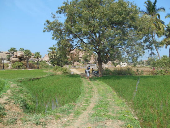 Ein schattiges Plätzchen in der Mittagshitze