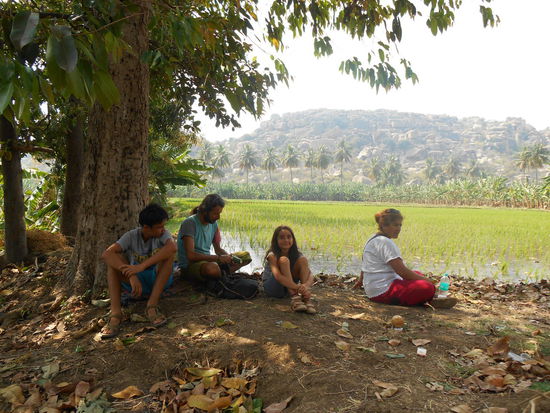 Mittagspause im Schatten