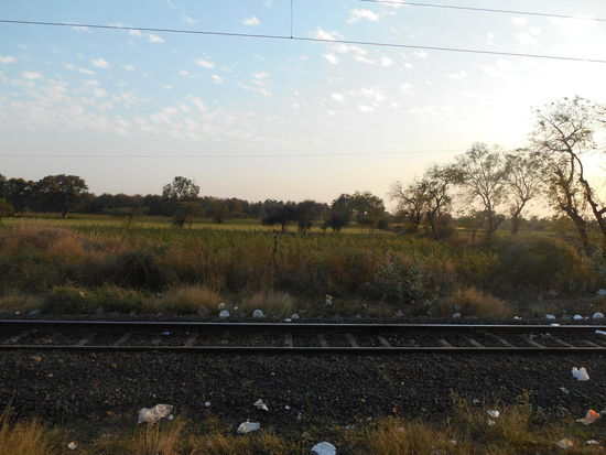 In Indien gibt es in den Zügen keine Mülleimer, dementsprechend fliegt alles aus dem Fenster und landet auf den Gleisen.