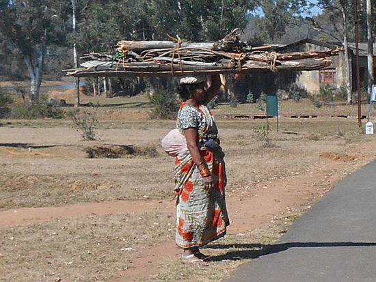 Das Feuerholz muss selbst besorgt werden.