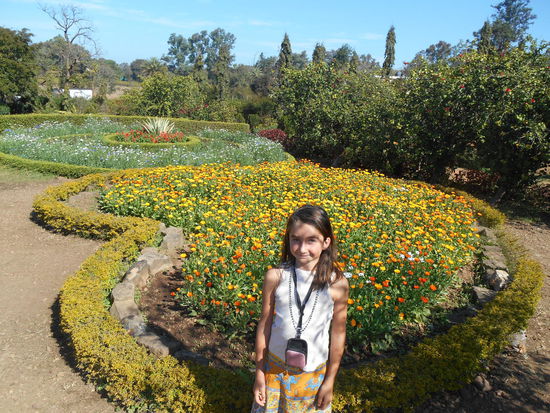 Der Garten mit vielen bunten Blumen