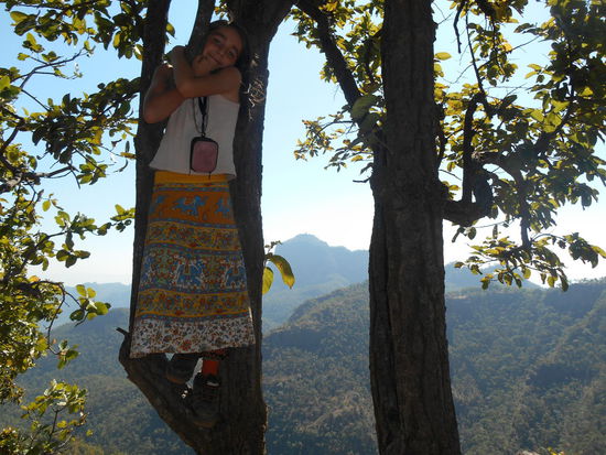 Was hängt denn da im Baum?