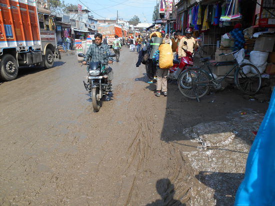 Schöner moddriger Boden