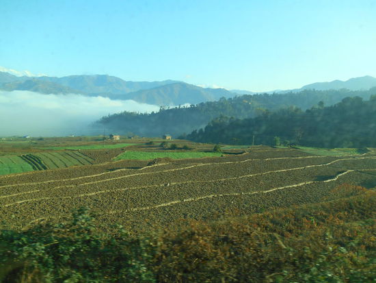 Felder wie Treppenstufen
