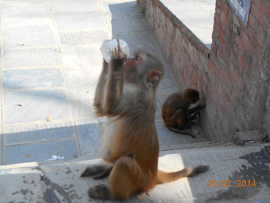 Hier muss doch irgendwie Wasser herauskommen!