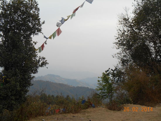 Keine Chance auf gute Sicht 