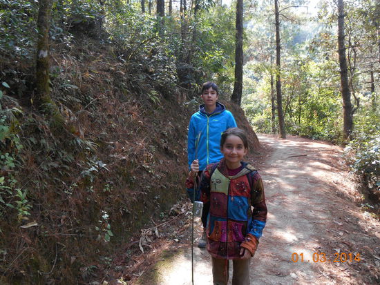 Der Naturpfad durch den Wald ...