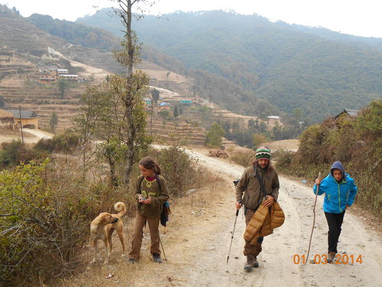 Wieder ein neuer Begleiter