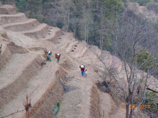 ... kurz vor dem Gewitter