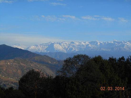 Klare Sicht auf die Eisberge ...