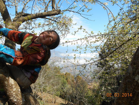 Im Garten des Hotels ...