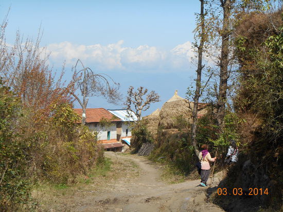 ... mit all der Vegetation rundherum ...